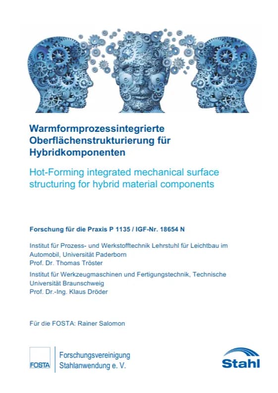 P 1135 - Warmformprozessintegrierte Oberflächenstrukturierung für Hybridkomponenten